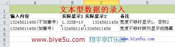 Excel中输入文本型数据