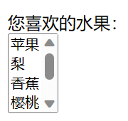 HTML select multiple属性