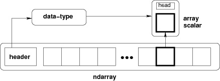 ndarray、dtype和数组标量类型之间的关系